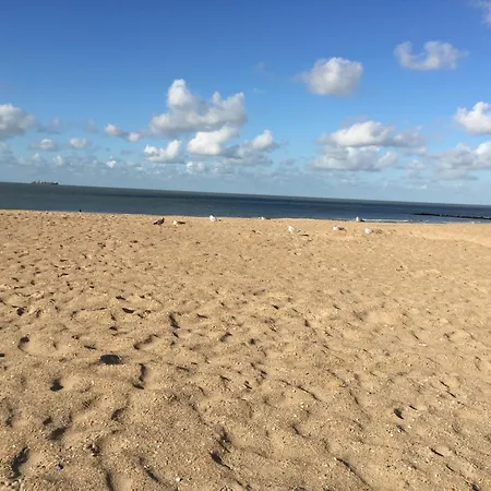 Zeedijk Heist Hoekappartement Probitas G6