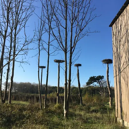 Zeedijk Heist Hoekappartement Probitas G6 *