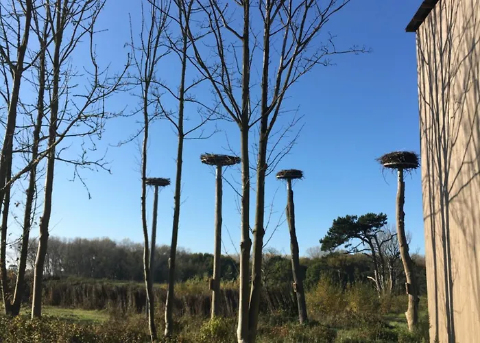 Zeedijk Heist Hoekappartement Probitas G6 *